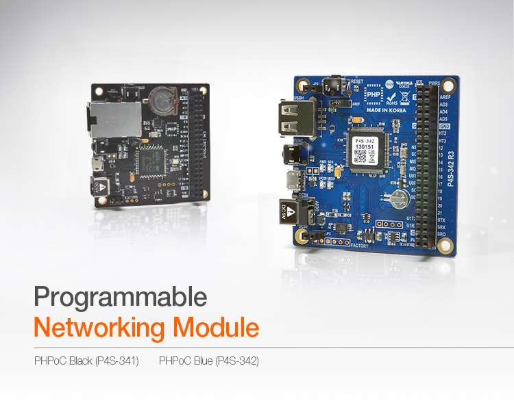Programmable Networking Module